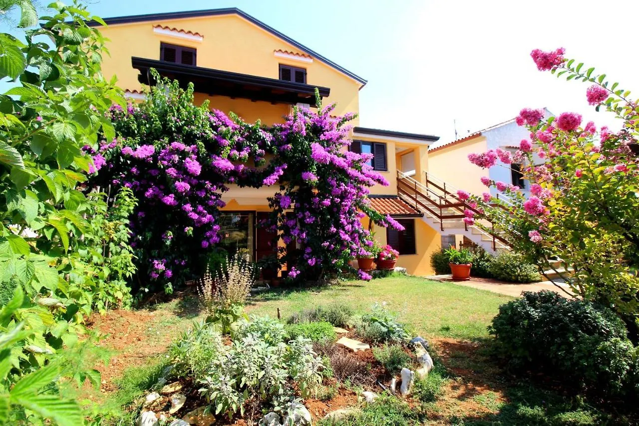 Apartments Tancel location